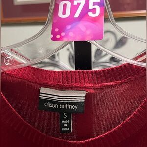 Like New Allison Brittney 3/4 Sleeve Color Block Sweater Dress Size Small #075